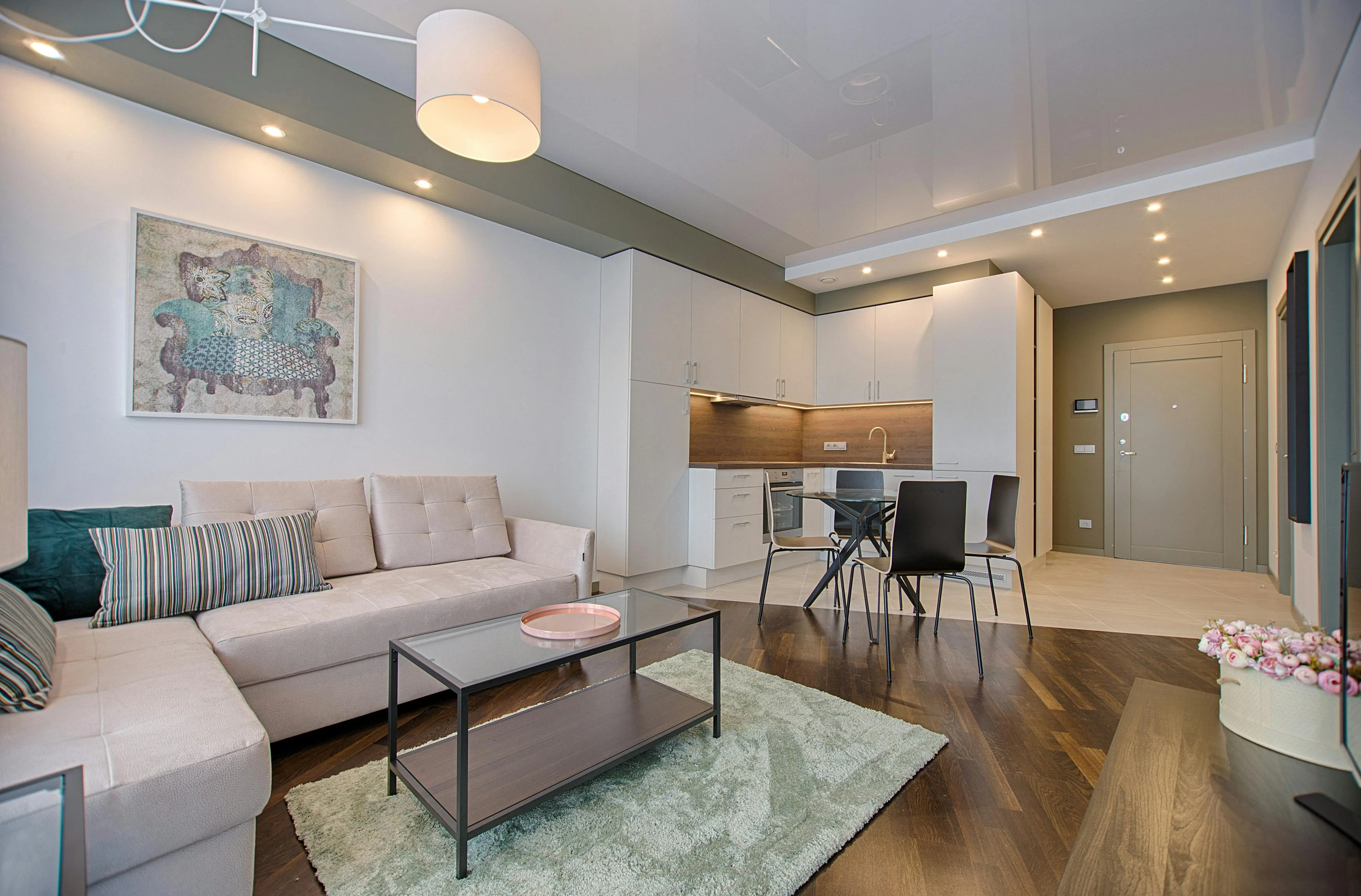 Modern luxury living room